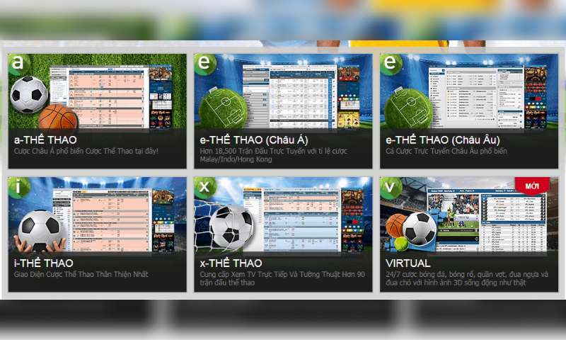 Có thể tham gia những kèo nà o khi đến với BTI Có thể tham gia những kèo nà o khi đến với BTI