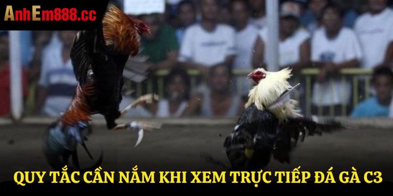 Một số quy tắc cần nắm khi xem trực tiếp đá gà c3